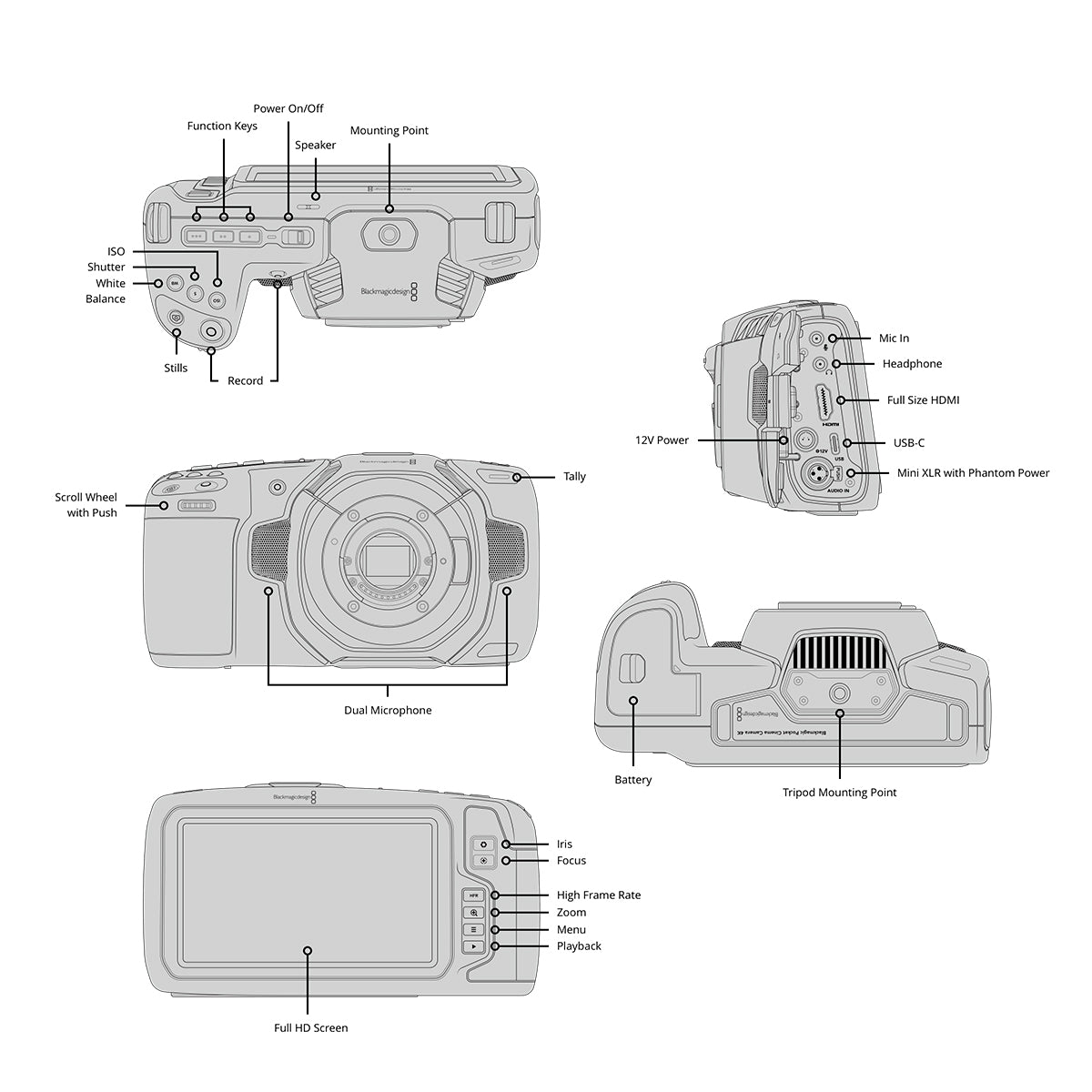 CINECAMPOCHDMFT4K - Imagen 2