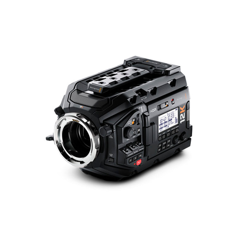 CINEURSAMUPRO46KG2 - Imagen 2