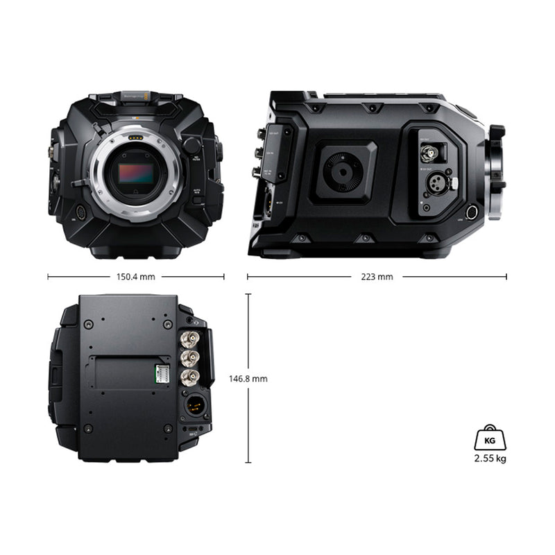 CINEURSAMUPRO46KG2 - Imagen 5